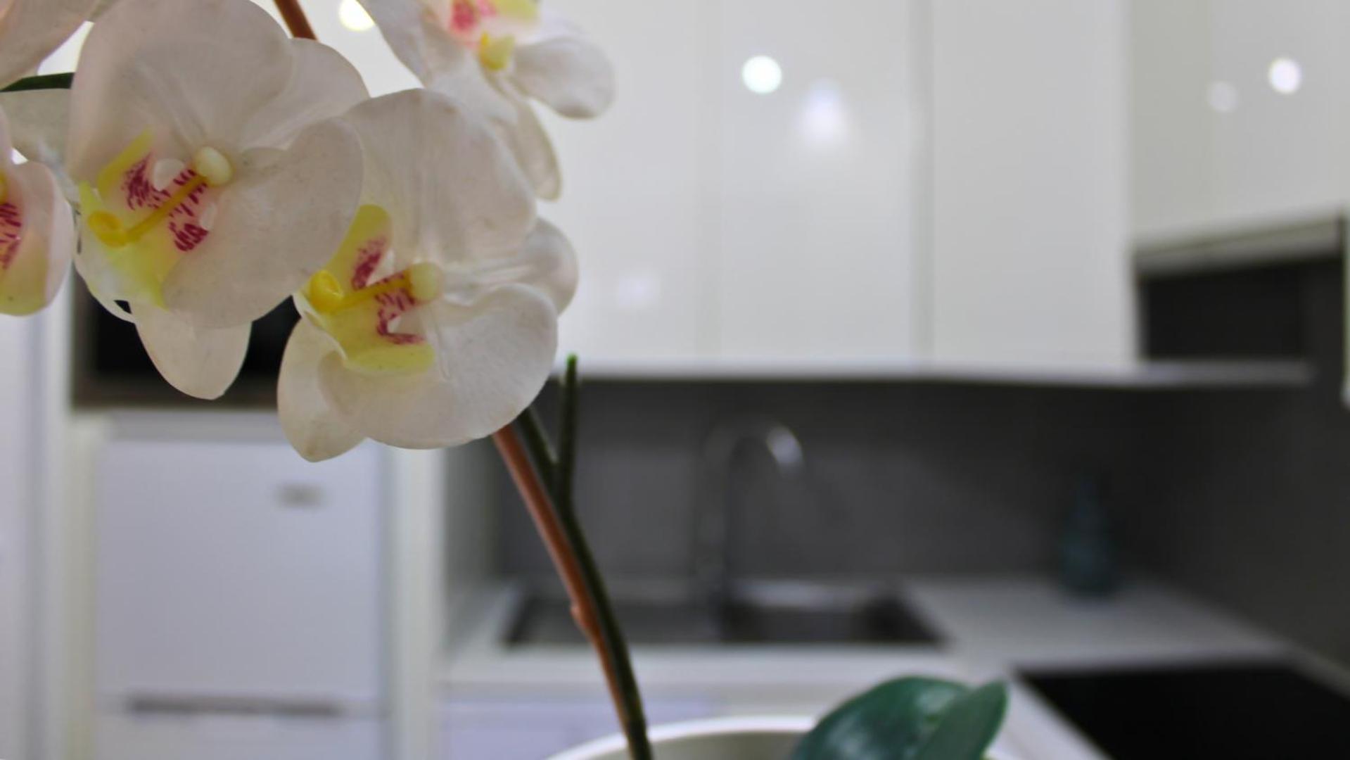 Markethome Mareverde Studio Costa Adeje  Kültér fotó